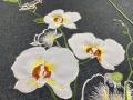 Bieżnik 50x100 cm Orchidea